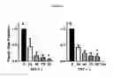 Fig. 26 - SELECTIVE EFFLUX INHIBITORS AND RELATED PHARMACEUTICAL COMPOSITIONS AND METHODS OF TREATMENT