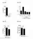 Fig. 04 - Compositions and methods for modulating TLR4