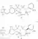 Fig. 46 - ARYL SULTAM DERIVATIVES AS RORc MODULATORS