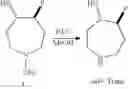 Fig. 459 - Azepane derivatives and methods of treating hepatitis B infections