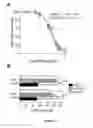 Fig. 04 - COMPOUNDS REDUCING THE PRODUCTION OF SORBITOL IN THE EYE AND METHODS OF USING THE SAME