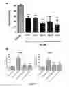 Fig. 06 - COMPOUNDS REDUCING THE PRODUCTION OF SORBITOL IN THE EYE AND METHODS OF USING THE SAME