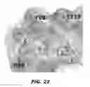 Fig. 35 - Compounds and methods for treating bacterial infections