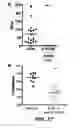 Fig. 41 - Compounds and methods for treating bacterial infections