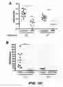 Fig. 46 - Compounds and methods for treating bacterial infections