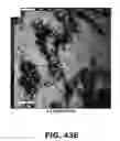 Fig. 69 - Compounds and methods for treating bacterial infections