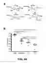 Fig. 76 - Compounds and methods for treating bacterial infections