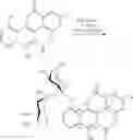 Fig. 47 - Chartreusin analogues
