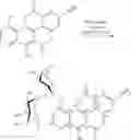 Fig. 50 - Chartreusin analogues