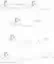 Fig. 45 - Compositions comprising enzyme-cleavable oxycodone prodrug