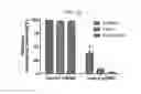 Fig. 04 - Peptides derived from NCAPG2 and their use