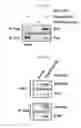 Fig. 20 - Peptides derived from NCAPG2 and their use