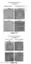 Fig. 05 - BINDING MOIETIES FOR BIOFILM REMEDIATION