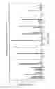 Fig. 14 - HUMANIZED ANTI-BETA7 ANTAGONISTS AND USES THEREFOR