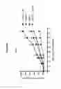 Fig. 07 - Jagged-binding agents and uses thereof