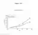 Fig. 30 - Method of treating cancer by administering a monoclonal antibody that binds human NOTCH2 and NOTCH3