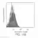 Fig. 12 - NOVEL LIGAND