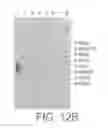 Fig. 16 - NOVEL LIGAND