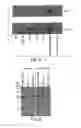Fig. 05 - PSMA ANTIBODIES AND USES THEREOF