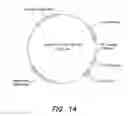 Fig. 16 - PSMA ANTIBODIES AND USES THEREOF