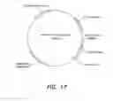 Fig. 19 - PSMA ANTIBODIES AND USES THEREOF