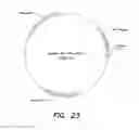 Fig. 25 - PSMA ANTIBODIES AND USES THEREOF