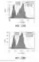 Fig. 29 - PSMA ANTIBODIES AND USES THEREOF