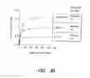 Fig. 43 - PSMA ANTIBODIES AND USES THEREOF