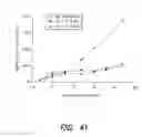 Fig. 48 - PSMA ANTIBODIES AND USES THEREOF