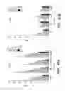 Fig. 53 - PSMA ANTIBODIES AND USES THEREOF