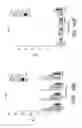 Fig. 55 - PSMA ANTIBODIES AND USES THEREOF