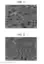 Fig. 06 - Method for producing a resin composition having a porous structure with independent porosities