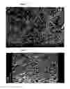 Fig. 02 - AROMATIC POLYAMIDE COMPOSITION AND ARTICLE MANUFACTURED THEREFROM