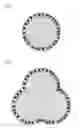 Fig. 02 - Phosphor sheet