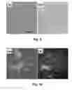 Fig. 09 - Photothermal substrates for selective transfection of cells