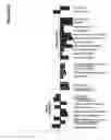 Fig. 22 - Method of Deriving Mesenchymal Stem Cells