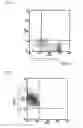 Fig. 02 - Method for obtaining monocytes or NK cells