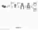 Fig. 07 - Compositions and Methods for Regulating Cytochrome c-Mediated Apoptosis by tRNA