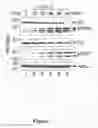 Fig. 08 - Compositions and Methods for Regulating Cytochrome c-Mediated Apoptosis by tRNA
