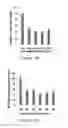 Fig. 22 - ENDOSTATIN MUTANTS WITH MUTATIONS AT ATP BINDING SITES