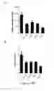 Fig. 25 - ENDOSTATIN MUTANTS WITH MUTATIONS AT ATP BINDING SITES