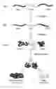 Fig. 01 - Compositions related to controllable intervening protein sequences (CIPS) comprising reversible zinc-binding motifs and inteins