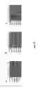 Fig. 09 - FUNCTION AND REGULATION OF ADAMTS-1