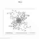 Fig. 03 - Magnetic beads having surface glycoconjugates and use thereof
