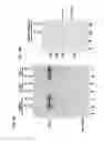 Fig. 05 - Oral delivery of nucleic acid-based gene interfering agents by 