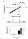 Fig. 07 - Structurally designed shRNAs