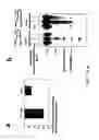 Fig. 09 - Structurally designed shRNAs