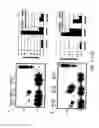 Fig. 16 - Structurally designed shRNAs
