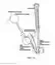 Fig. 19 - Structurally designed shRNAs
