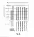 Fig. 09 - RNAI EXPRESSION CONSTRUCTS
